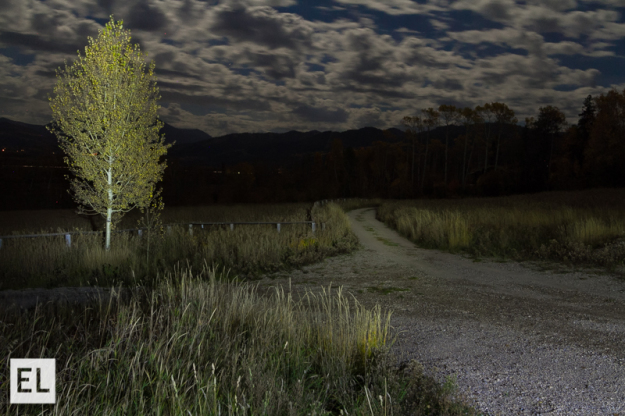 Elsa Jensen, Elsa Creates, light painting, light, photography, long exposure, night exposure, photography, light painting photography, night photography, 