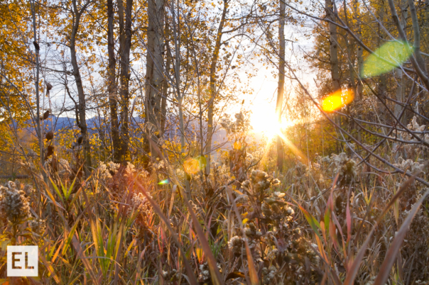 ElsaJensenFineArtPhotoSunriseVictorIdahoField