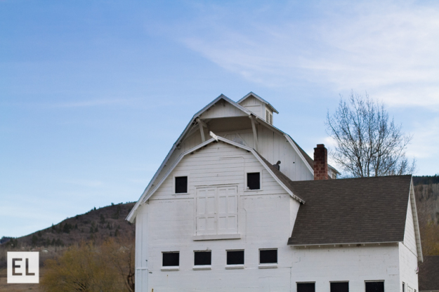 Elsa Jensen, Elsa Creates, Fine Art, Photography, shapes, texture,  Park City, Salt Lake City, Utah, photography, shapes, texture, black and white, Utah Capitol building, Park City Barn, Ensign Peak, 