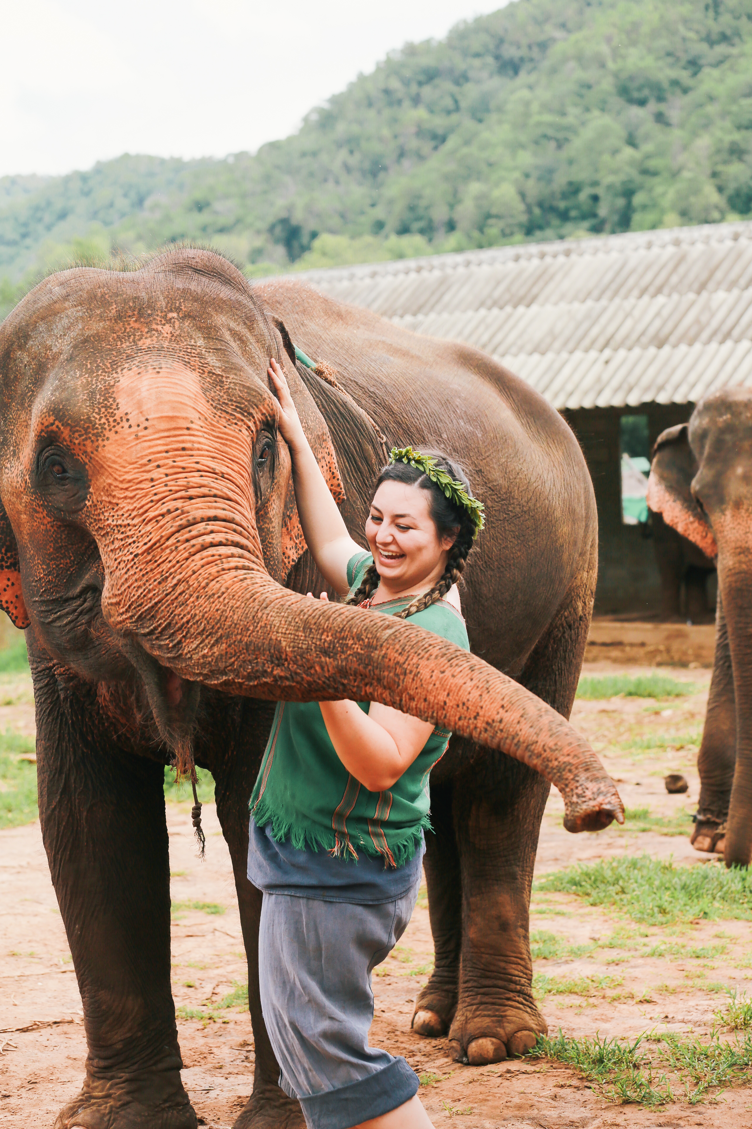 elsa jensen, elsa, jensen, elsa creates, travel photographer, travel photography, travel, photographer, photography, humanitarian, service, humanitarian photographer, service expedition, travel more, thailand, asia, bangkok, chiang mai, somewhere devine, elephants, temples, buddhist monks, childrens school, sneak peek, 