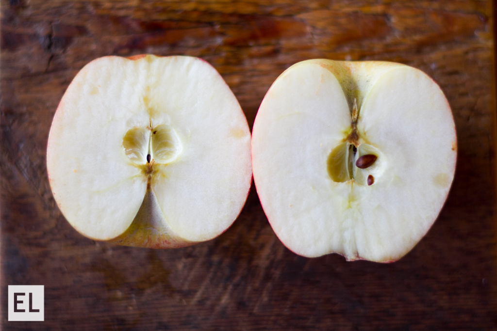 Produce Food and Product Photography